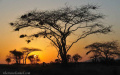 Sunrise – Samburu National Reserve, Kenya