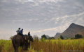 Elephant's World - Kanchanaburi, Thailand Elephant's World - Kanchanaburi, Thailand