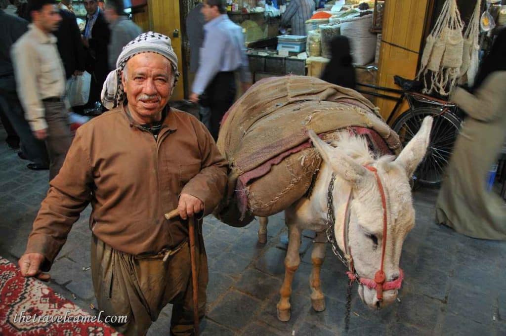 Man and his donkey - Aleppo souq, Syria