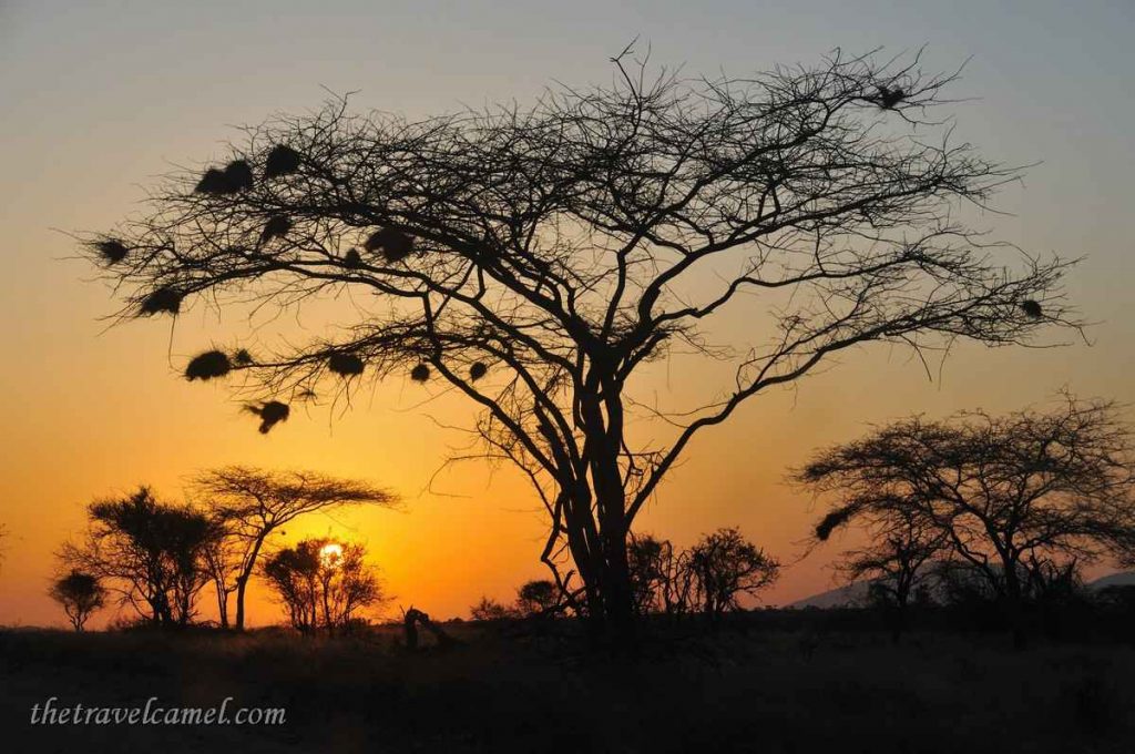 Sunrise – Samburu National Reserve, Kenya