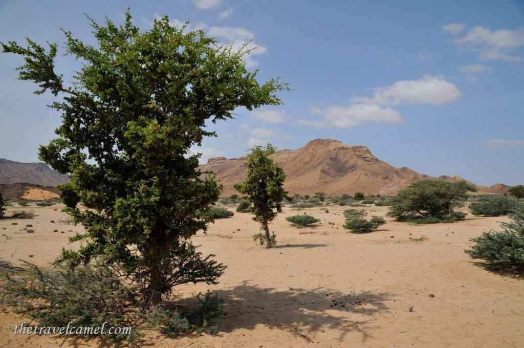 Desert scenery - between Berbera and Sheikh, Somaliand