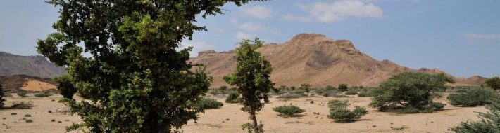 Images – Somaliland Desert scenery - between Berbera and Sheikh, Somaliand