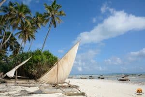 Idyllic Nungwi Beach - Zanzibar